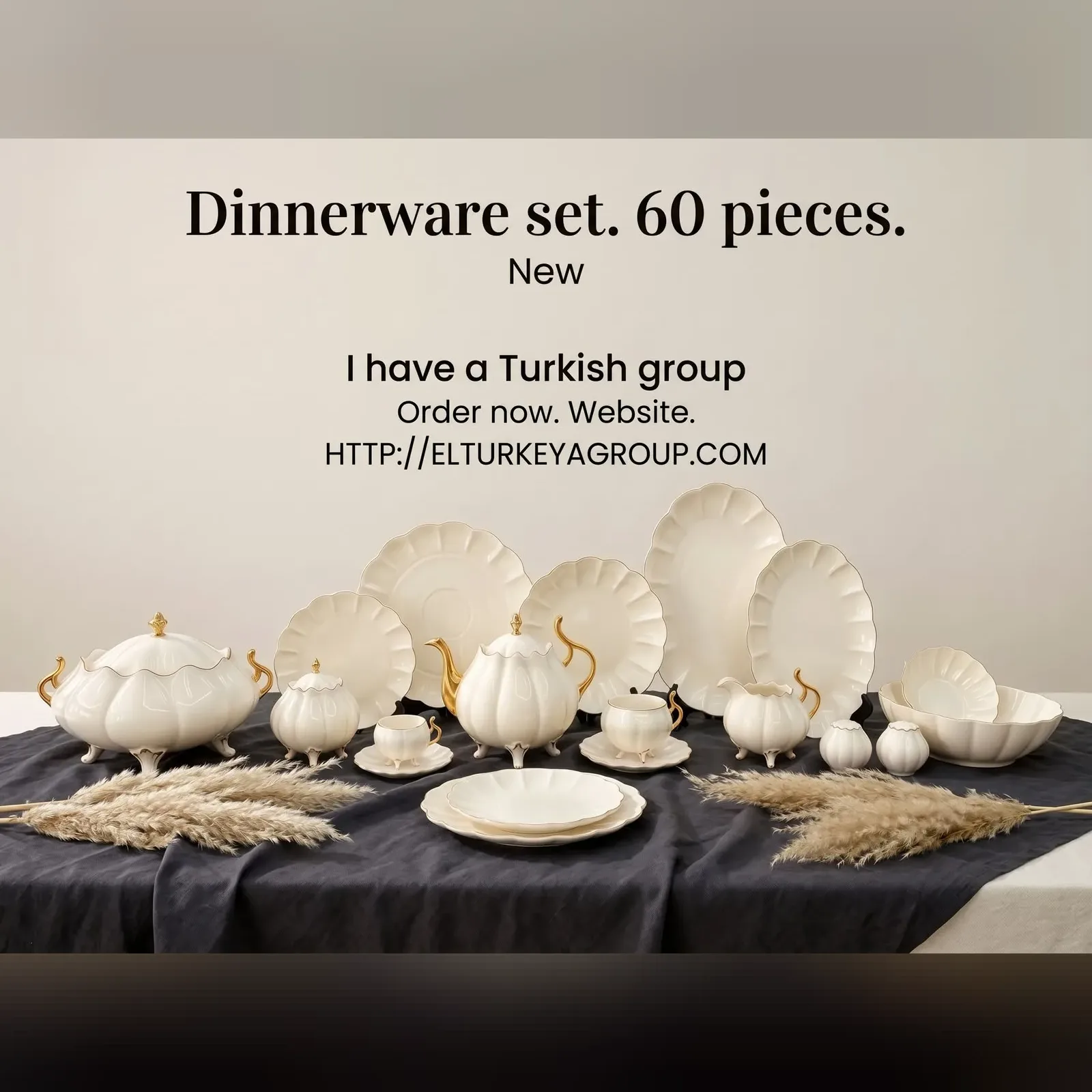 60-Piece Porcelain Dinnerware Set