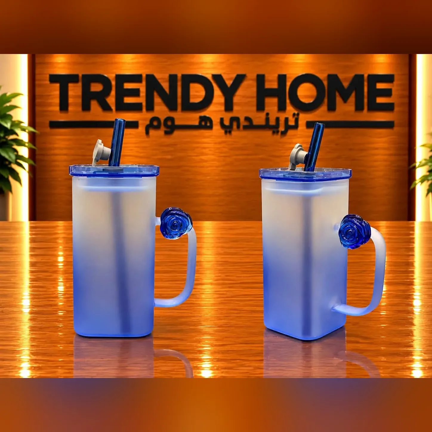 Frosted Glass Mug with Straw